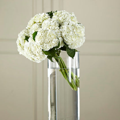 White Hydrangea Hand-Tied Bouquet –  Paola Parra Flowers, Clermont FL