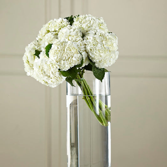 White Hydrangea Hand-Tied Bouquet –  Paola Parra Flowers, Clermont FL