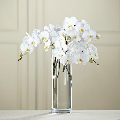 White Phalaenopsis Bouquet –  Paola Parra Flowers, Clermont FL
